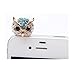 Price comparison product image 3D Owl-Design Anti-Dust Audio Jack Plug / Decorative Phone Charm Plug withDiamantés (for 3.5 mm Jack)for Smartphones, Tablet, Samsung Galaxy S2 S3 S4, Note 3 N9000, S3 Mini i8190, iPhone 3 4 4S 5S 5C, iPad 2 3 4 Mini Air, iPod Touch 4, Samsung, Sony XL39H, HTC One M4,M7, ZTE, Huawei