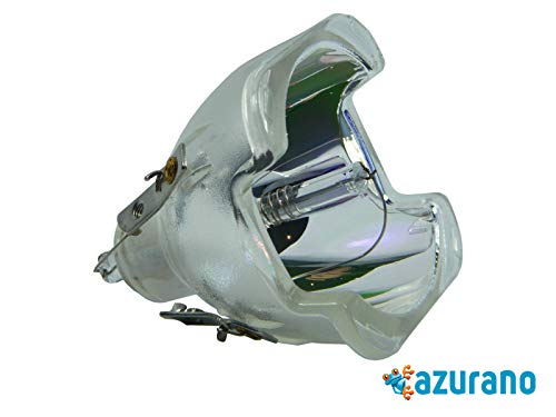 Preisvergleich Produktbild PHROG7 Ersatzlampe für ACER EC.J6400.001