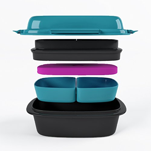 Coolbites Bento-Lunchboxen, brotdose Bento Mittagessen mit Eisbeutel - bis zu 4 Fächern - Für Kinder & Erwachsene - ideal für Zurück zu Shcool …