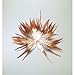 Produktbild efco Cock 's Feather In Reihen, Federn, rötlich braun, 40–80 mm, 3 g