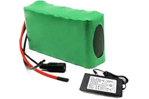 Seilylanka 24V 6Ah 25.9V Li-ION Batterie électrique Vélo électrique 7S2P avec Chargeur