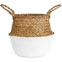 Maceteros | Amazon.es