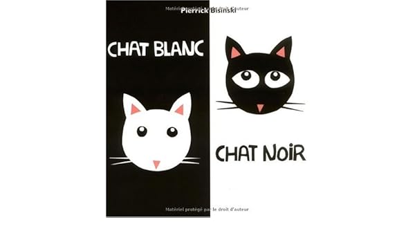 Amazonfr Chat Blanc Chat Noir Pierrick Bisinski Livres