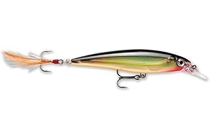 Rapala X-Rap jerkbait 06 esche da pesca