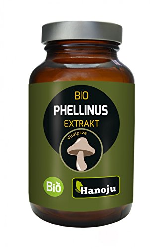 Preisvergleich Produktbild Bio Phellinus Pilz Extrakt 320 mg, 90 Kapseln