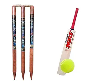 Willow Cricket Bat with Wooden Stumps and Tennis Ball - Durable, Lightweight Bats for Kids, Boys