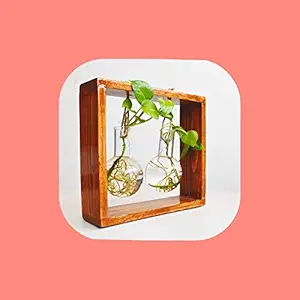 Neverwaste | Elegant Wooden Flask Stand | Set of Stand and 2 Flask | Planter | Flask Planters | propagate in Style | Best Plant Propagation Stations | Tube Planter