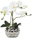 Produktbild Decoline Künstliche Orchidee 33cm - Blüten weiß - Keramik Übertopf Silber