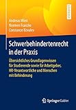 Image de Schwerbehindertenrecht in der Praxis: Übersichtliches Grundlagenwissen für Studierende sowie für