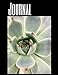 Produktbild Journal: Succulent Cactus Plant themed Journal 8.5" x 11" 100 pages