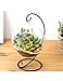 Produktbild PENFJ Vase Haushaltsdekor DIY Klar Runde Kugel Wasserkulturpflanze Blume Hängen Glas Vase Container Hausgarten Dekor