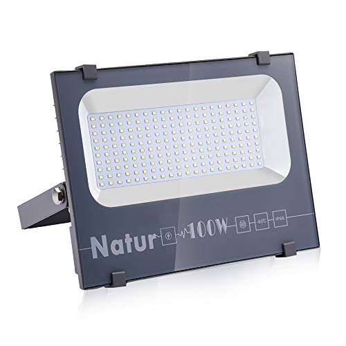 NATUR Faretto 100W Fari LED per Esterno 10000LM Proiettore Moda Leggero, Faro Impermeabile IP66 per Giardino Cortile, Lampada Luce Potente Super Luminosa 6000K Luce Bianca[Classe Energetica A++]