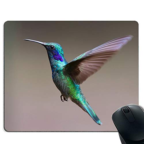 Preisvergleich Produktbild Hummingbird Premium Quality Dickes Gummi-Mauspad-Pad Weiches Komfortgefühl-Finish