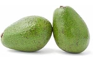 Avocado X1 - Sourced by My Exotic Fruit - Fresh from the Caribbean