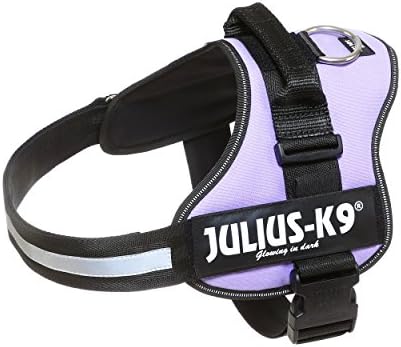 Julius K9 162PR-2, K9-Powerharness, Size: 2, Purple