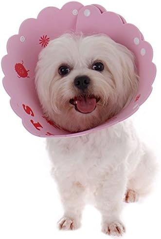 HimanJie Elizabeth Soft Foam Protective Collar Wound Healing Cone recovery E-Collar for Small Medium Large Dog Cat