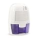 Produktbild Yoleo 500ml Luftentfeuchter tragbar und kompakter Raumentfeuchter Luftreinigungsfunktion gegen Feuchtigkeit, Schlafzimmer, Keller, Büro, Schrank, Küche, Wohnwagen und Garage,90-Tagen-Rückerstattung-Garantie,Schmutz und Schimmel für Haus