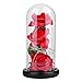 Produktbild E-CHENG Beauty and The Beast Rose, Enchanted Red Silk Rose Lamp That Lasts Forever with LED Fairy String Lights, Gift for Mother''s Day Wedding Anniversary Birthday