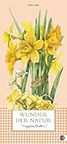 Wunder der Natur 2014 by 