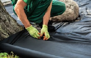 150 Gramm/m² Unkrautvlies, Gartenvlies 1,5 x 25 m (37,5 qm) - 9