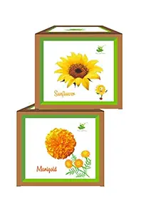 Sow and Grow Seed Starter Grow Kits of Marigold + Sunflower || DIY Easy Grow it Yourself Gardening Kits for Home and Garden || A Complete Beginner Gardeners Gardening Set