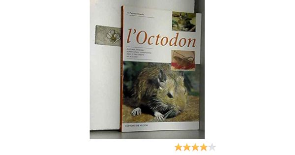 Amazon Fr L Octodon Desachy Florence Livres