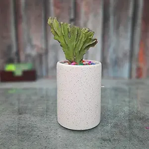 Sazao Pipe Ceramic Pots for Indoor Plants, Small in Size (White Matt, 1)