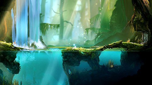 Ori And The Blind Forest - Definitive Edition -   dition Limit  e  Importaci  n Francesa 