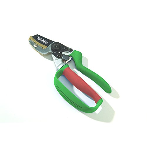 Preisvergleich Produktbild Bosmere N533 Amboss-Gartenschere mit Rollgriff