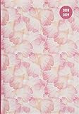 Collegetimer Pastel Dream 2018/2019 - Schülerkalender A5 - Day By Day - 352 Seiten by 