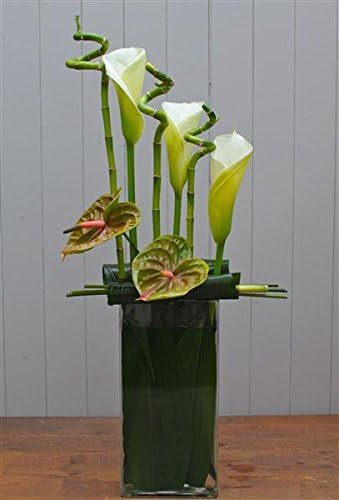 Arum Lily and Lucky Bamboo - Margaret Emms Fresh Flowers Delivered