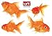 Produktbild 1art1 60044 Fische - Goldfische Wand-Tattoo Aufkleber Poster-Sticker 115 x 80 cm