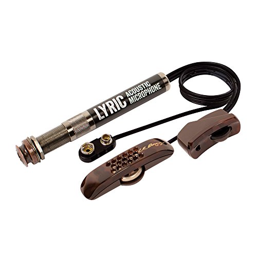 LR BAGGS LYRIC Micro 2llyric con amplificatore e Volume