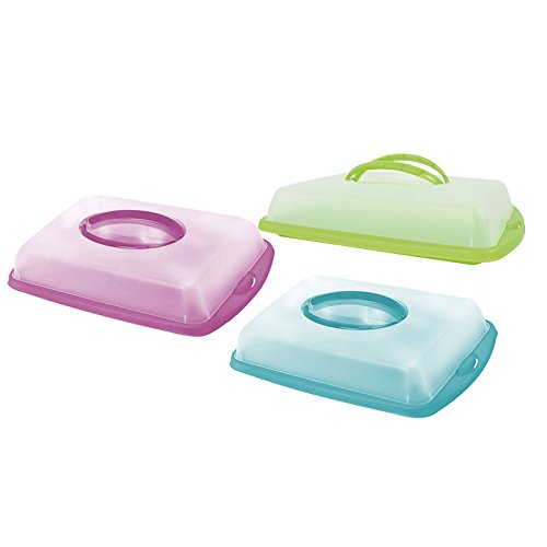 Transportbehälter Kuchen Behälter Tortenhaube Kuchenhaube Container türkis