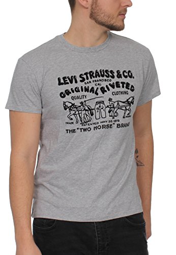 Unbekannt Levis Herren T-Shirt 2 Horse Graphic 22495-0025 Grau, Größe:M Unbekannt Levis Herren T-Shirt 2 Horse Graphic 22495-0025 Grau, Größe:M