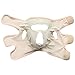 Surker Elastic Anti Wrinkle Full Face Slimming Cheek Mask Lift V Face Line Slim up Belt Strap Massage PCPA00652A
