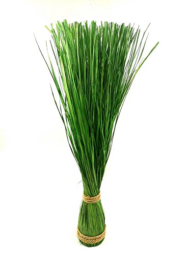 Gras Grasbündel im Garten Grasbund Deko Zweige Grasbüschel (70 cm) - 2