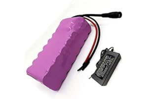 SEILYLANKA con caricatore 7Ah 6S2P 24V Batteria e-Bike ebike bici elettrica Li-ION personalizzabile 136 x 72 x 40 mm