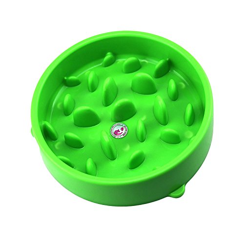 Happyit Pet Slow Food Bowl Slow Feed Dog Bowl Interactive Help Digestion Choke Stop Food Bowl - Slow Down Eating (Green)