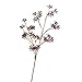 Produktbild Set 3 x künstlicher Hartriegel Cornus Zweig ANINA, dunkelrot, 55 cm, Ø 15 cm - künstliche Zweige / Blütenzweig - artplants
