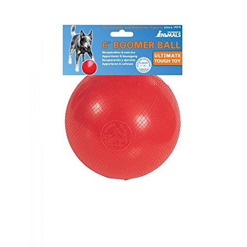 virtually indestructible ball
