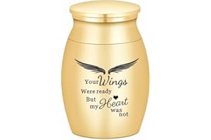 QGJNSGC Urna pequeña para Cenizas Mini Urna para Cenizas Cremación Recuerdos para Cenizas humanas Conmemorativo Cenizas Soporte para Mujeres Hombres