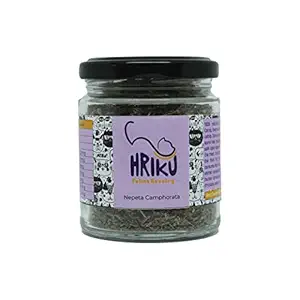 HRIKU High Altitude Himalayan Dry Catnip HERB 25 gm (Nepeta Camphorata), Green