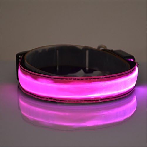 LED Dog Collar, USB Rechargeable Glowing Pet Collar Fashion Light Up Collar for Night Safety Pink M - Kailian