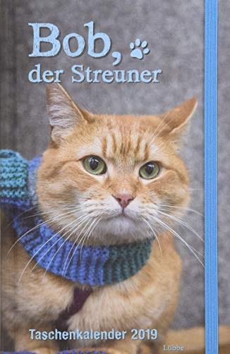 Preisvergleich Produktbild Bob, der Streuner - Taschenkalender 2019 (James Bowen Bücher)