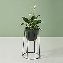 Suchergebnis auf Amazon.de für: blumenständer modern