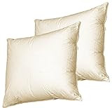 beties 2 x 80x80 Feder Kopfkissen (echte Federn) robust & formstabil (Schwarzfischer) beties 2 x 80x80 Feder Kopfkissen (echte Federn) robust & formstabil (Schwarzfischer)