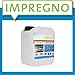 Produktbild PROCaso® Professionell Sanitärreiniger Konzentrat 10 Liter Kanister ultrastark und kraftvoll