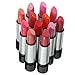 TOOGOO(R) 12 Colors Lipsticks Glossy Sets Fashion Women Beauty Makeup