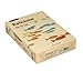 Produktbild Rainbow Kopierpapier 88042283 A4 160g chamois 250 Bl./Pack.